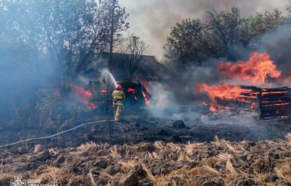 На Черкащині вогонь охопив понад 10 гектарів площі: постраждала жінка