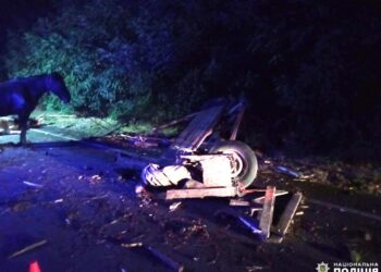 На Рівненщині у ДТП загинув водій воза, кінь не постраждав