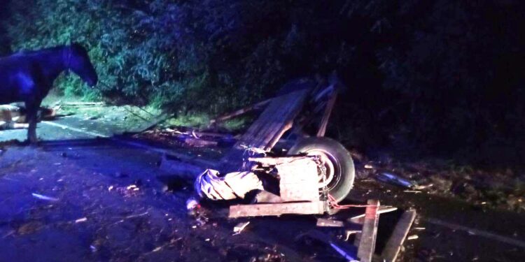 На Рівненщині у ДТП загинув водій воза, кінь не постраждав