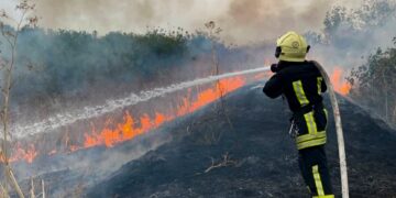 На Уманщині пожежа охопила понад 2 гектари території