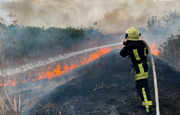 На Уманщині пожежа охопила понад 2 гектари території