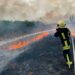 На Уманщині пожежа охопила понад 2 гектари території