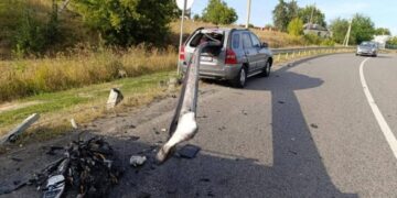 На Звенигородщині автівка в’їхала у відбійник: водій загинув на місці (ФОТО)