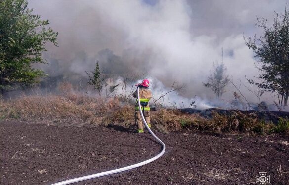 На Звенигородщині вигоріло понад 3 гектари на відкритій території 