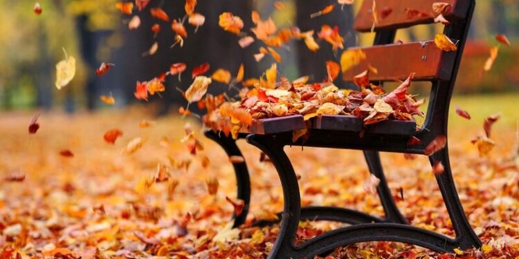 Наближається атмосферний фронт: на Тернопільщині зміниться погода | Терміново новини Тернополя