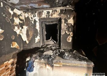 Облив бензином своїх батьків та підпалив їхні будинки – у Миколаївському районі поліцейські затримали зловмисника » Миколаївський Оглядач