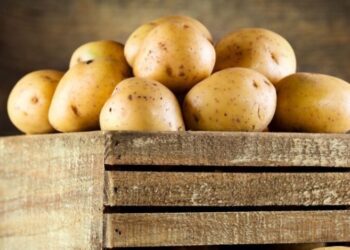 Оптові ціни на картоплю в Україні стали найвищими за останні 7 років – Экономика