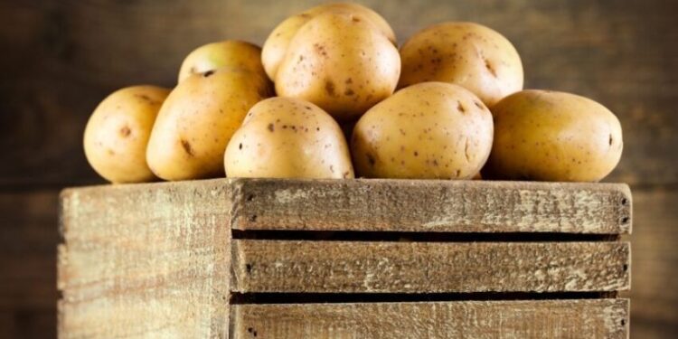 Оптові ціни на картоплю в Україні стали найвищими за останні 7 років – Экономика
