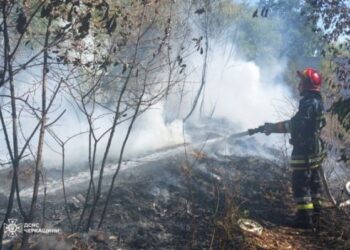 Пекельна доба: 20 пожеж черкаські рятувальники ліквідували на відкритій території — Новости Черкасс