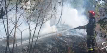 Пекельна доба: 20 пожеж черкаські рятувальники ліквідували на відкритій території — Новости Черкасс