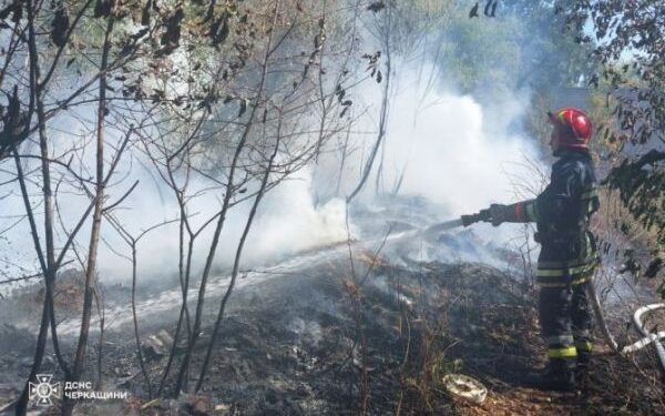 Пекельна доба: 20 пожеж черкаські рятувальники ліквідували на відкритій території — Новости Черкасс