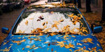 Помилки водіїв восени: як не нашкодити автомобілю |  |