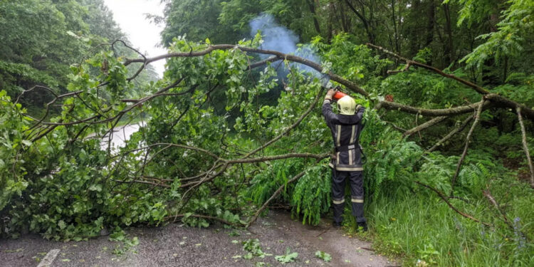 Пожежна небезпека та пориви вітру: прогноз на Полтавщині