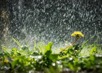 Прогноз погоди у Запоріжжі на 12 та 13 вересня – синоптики розповіли, що чекати мешканцям регіону  | Новости Запорожья