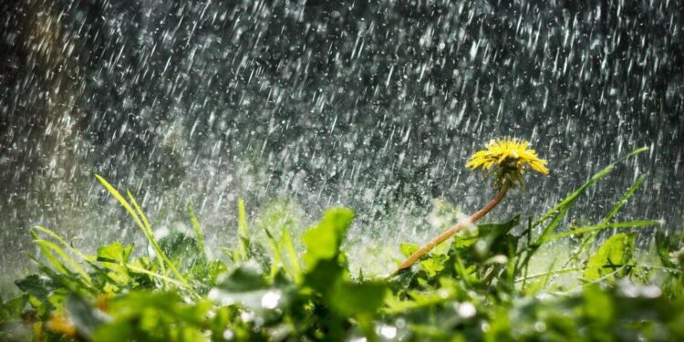 Прогноз погоди у Запоріжжі на 12 та 13 вересня – синоптики розповіли, що чекати мешканцям регіону | Новости Запорожья