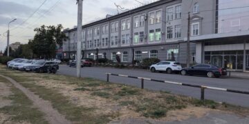 Спиляли дерева біля заводу «Лтава»: що відомо – ПОЛТАВА СЬОГОДНІ