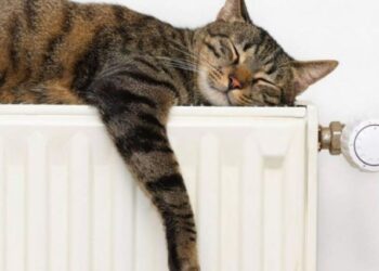 У «Черкаситеплокомуненерго» розповіли, як підготувалися Черкаси до опалювального сезону — Новости Черкасс