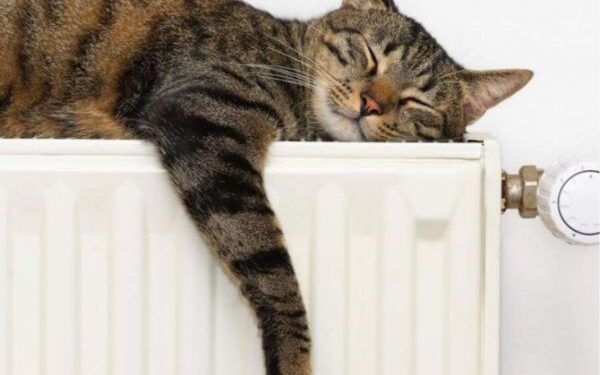 У «Черкаситеплокомуненерго» розповіли, як підготувалися Черкаси до опалювального сезону — Новости Черкасс