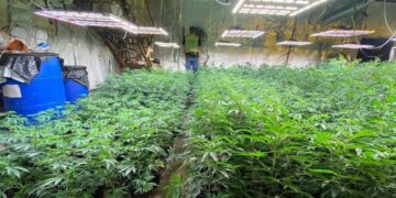 У Черкаській області викрили сімейну нарколабараторію