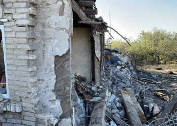 У Запоріжжі потрібна допомога собаці, чий хозяїн загинув під час російської атаки – подробиці | Новости Запорожья