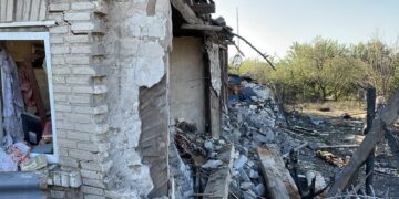 У Запоріжжі потрібна допомога собаці, чий хозяїн загинув під час російської атаки – подробиці | Новости Запорожья