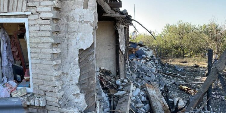 У Запоріжжі потрібна допомога собаці, чий хозяїн загинув під час російської атаки – подробиці | Новости Запорожья