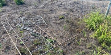 У Жашкові чоловік хотів викрасти огорожу з могили