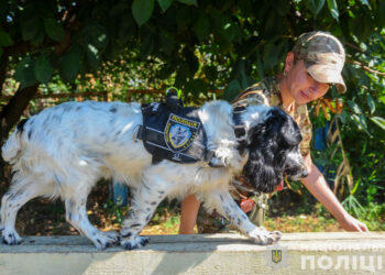 Запорізька кінологиня Ксенія Великжаніна показала, як працює разом зі своєю чотирилапою напарницею Нікою | Новости Запорожья