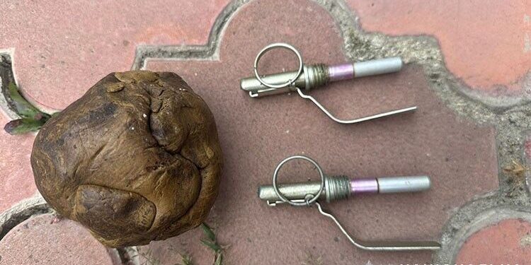 Житель Чорткова незаконно зберігав зброю та боєприпаси | Терміново новини Тернополя