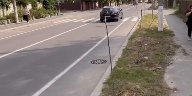 Знову на вулиці Соборності невідомі поламали молоді клени: на цей раз 17 —Хмельнитчина