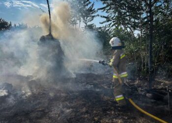 2 жовтня та в ніч на 3 на пожежах загинуло двоє людей, ще двоє постраждали » Миколаївський Оглядач