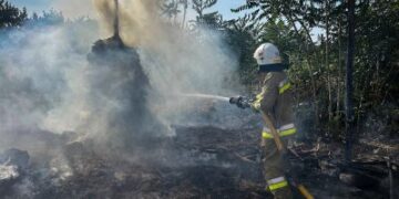 2 жовтня та в ніч на 3 на пожежах загинуло двоє людей, ще двоє постраждали » Миколаївський Оглядач