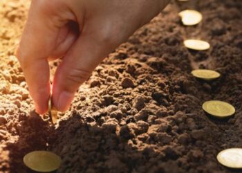 USAID мобілізує майже $1,75 мільярда для підтримки українських сільгоспвиробників – ЭКОНОМИКА