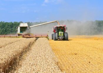 На Полтавщині через посуху валовий збір сільгоспкультур очікують меншим, ніж торік – ЭКОНОМИКА