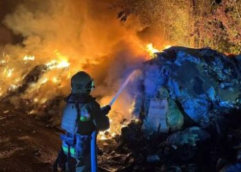 9 жовтня у Миколаєві підрозділи ДСНС ліквідували 3 пожежі » Миколаївський Оглядач