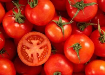 Ціни на помідори в Україні б’ють рекорди – ЭКОНОМИКА