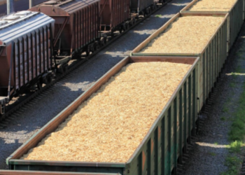 У портах Великої Одеси вивантажують майже 1,3 тис вагонів із зерном на добу – ЭКОНОМИКА