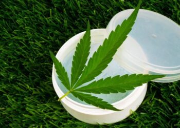 Стало відомо, за яких хвороб українцям призначатимуть медичний канабіс – ЭКОНОМИКА