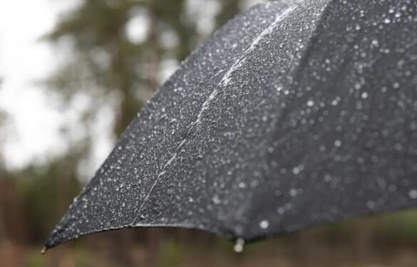 Дощі та місцями грози: якою буде погода на Черкащині на вихідних