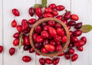 На Запоріжжі виробник фарширує ягоди анчоусами – ЭКОНОМИКА