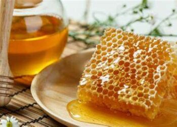 На Кіровоградщині цьогоріч зібрали меду на 50% менше, ніж торік – ЭКОНОМИКА