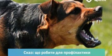 Фахівці розповіли, як діяти в разі інфікування сказом — Новини Черкащіни