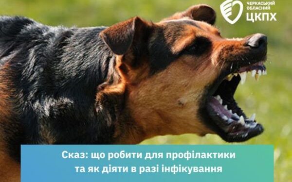 Фахівці розповіли, як діяти в разі інфікування сказом — Новини Черкащіни