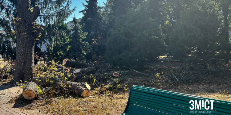 Горобці можуть зникнути в Полтаві через спилювання дерев