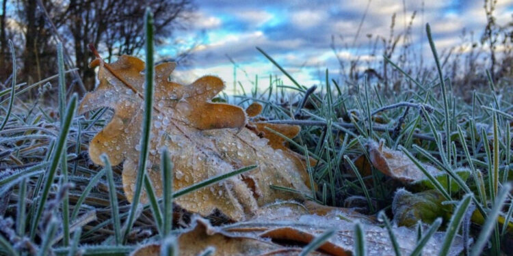 Коли очікувати на мокрий сніг та заморозки в жовтні | Журнал Житомира