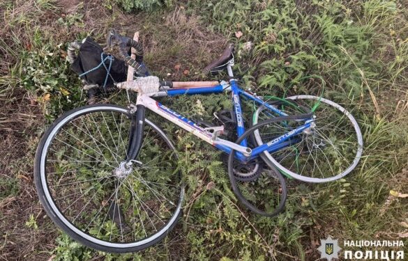 На Черкащині водій вантажівки на смерть збив велосипедиста 