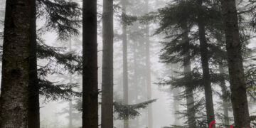 На Івано-Франківщині оголосили штормове попередження