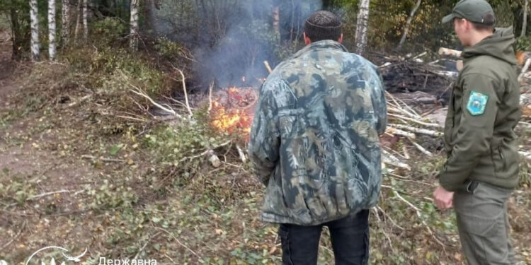 На Романівщині чоловіка оштрафували на 1500 гривень за спалювання гілля біля лісу | Журнал Житомира