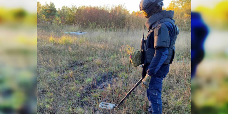 На Житомирщині грибники двічі знаходили боєприпаси: знайдене знешкоджували піротехніки | Журнал Житомира