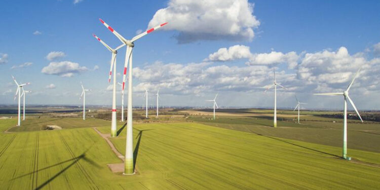 На Житомирщині планують побудувати вітрові електростанції: що відомо | Журнал Житомира